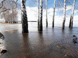 На Сумщине уровень воды в некоторых реках приблизился к критической отметке: есть опасность затопления