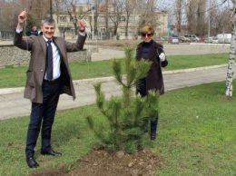 «Город-сад»: в Черноморске стартовала «зеленая инициатива»