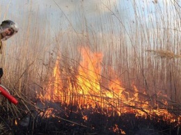 На Черниговщине мужчина тушил пожар в поле и умер