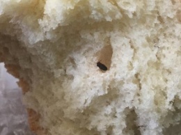 В Славянске в хлебе продолжают находить жуков