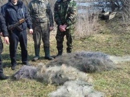 Запрет на рыбалку в Черниговской области не работает - три факта браконьерства за два дня