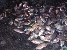 На Сумщине браконьеры, выловив более 100 кг рыбы, нанесли ущерб на сумму более 10 000 гривен