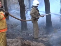 Пожары на Днепропетровщине: спасатели подводят первые итоги