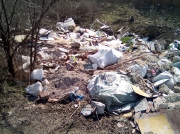 "Обрастаем мусором". Жители Луганска жалуются на свалки у жилых домов (фото)