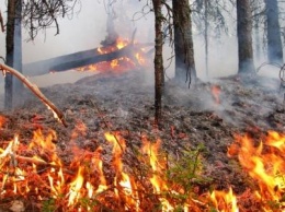 В Сумах обсудили риски возникновения пожаров на территории области