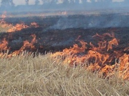 В Павлограде объявили чрезвычайный уровень пожарной опасности