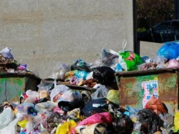 Северодонецк погряз в мусоре (фото)