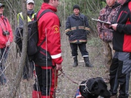 В Павлограде прошли испытания собак-спасателей