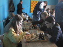 Бердянские шахматисты лучшие в области