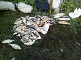 С начала апреля на Николаевщине зафиксировано 220 фактов незаконной ловли рыбы