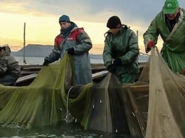 Море продолжает кормить переселенцев из Широкино (ФОТО)