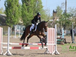 В Николаеве более 70 наездников юга Украины собрались на трехдневных конных соревнованиях