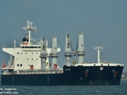 Из Украины в Китай отправлено судно с крупнейшей партией подсолнечного шрота