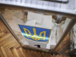 "Батькивщина" победила на выборах в общинах с результатом 35,4%