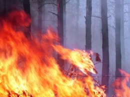 На Днепропетровщине сохраняется состояние чрезвычайной пожарной опасности
