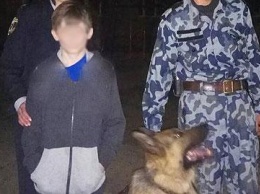 10-летний черниговский мальчик после ссоры с мамой ушел из дома. Его искали с собаками