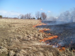 Чрезвычайная пожароопасность: за сутки в Одесской области произошло 4 пожара в экосистемах