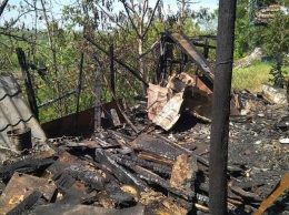 В Запорожье сгорел частный дом - погибли 15 собак (Фото)