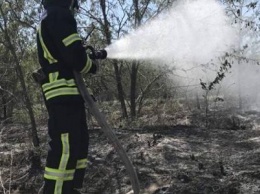 В Николаеве горящий мусор причинил пожара в Балабановском лесу