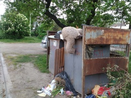 Директор КП «Бердянскэкотранс» Иван Братеньков: «График вывоза мусора может нарушаться только из-за технических проблем»