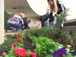 На территории «Холма Славы» высадили почти две тысячи саженцев цветов