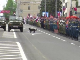На "параде" в "ДНР" произошел забавный казус