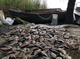 Миллионный улов: В Запорожской области задержали браконьеров с 22 тоннами рыбы