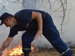 Опять горит лес в Черниговской области
