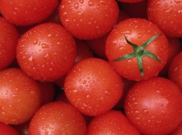 Моль не пройдет: в Одесском порту «завернули» турецкие томаты
