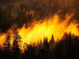 Россия в огне: Сеть взорвало видео поезда, едущего сквозь пылающий лес