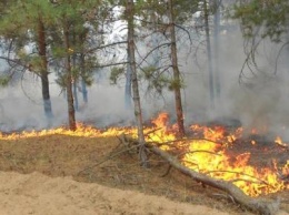 На Херсонщине зафиксировали 112 пожаров в экосистемах