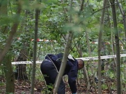 В лесополосе в 3 км от поселка Ровное Покровского района был обнаружен скелетированный труп