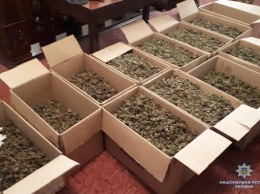 Во время обысков в Северодонецке полиция изъяла 10 кг наркотиков (Фото)
