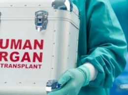 Новый закон о трансплантации органов предусматривает презумпцию несогласия