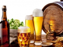 Опасное хмельное: ученые назвали смертельную дозу пива. ВИДЕО