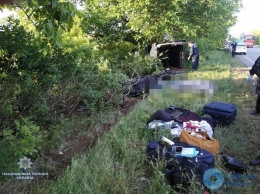 В Кривом Роге смертельный рейс: водитель заснул за рулем (Фото/Видео)