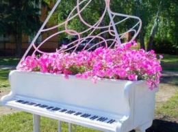 В клумбу-рояль в Чернигове уже высадили цветы