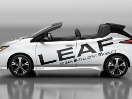 Представлен родстер Nissan Leaf