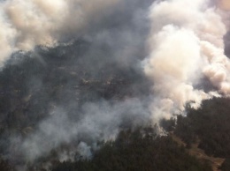 К ликвидации масштабного лесного пожара в Херсонской области привлекли авиацию (ФОТО)
