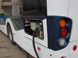 В Крыму "рогатых" могут заменить электробусы