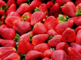 Опухоли исчезают бесследно: ученые назвали самую полезную ягоду