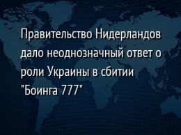Правительство Нидерландов дало неоднозначный ответ о роли Украины в сбитии "Боинга 777"