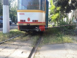 Смертельное ДТП в Одессе: под колеса трамвая попал мужчина