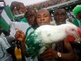 Фанатам сборной Нигерии не разрешили пронести живых кур на стадион в Калининграде