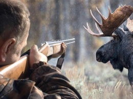 В Одесской области охотник подстрелил себя и двух людей
