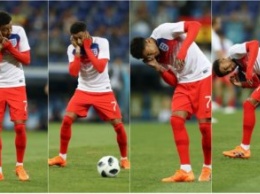 Во время матча Англия - Тунис на Волгоград напали полчища мошек
