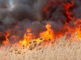 В Сумах возле одного из детских лагерей произошло массовое возгорание сухой растительности