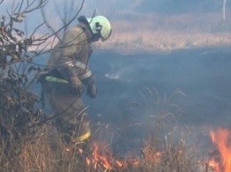 В ДНР за неделю сотрудники МЧС ликвидировали 200 пожаров