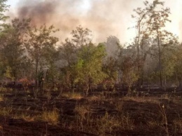 В Покровске и Покровском районе снова горели экосистемы