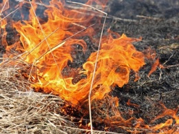 За минувшие сутки в Кривом Роге несколько раз поджигали сухую траву и мусор